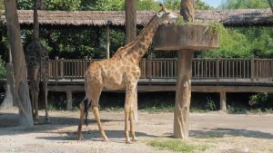Places to Visit in Dera Bassi